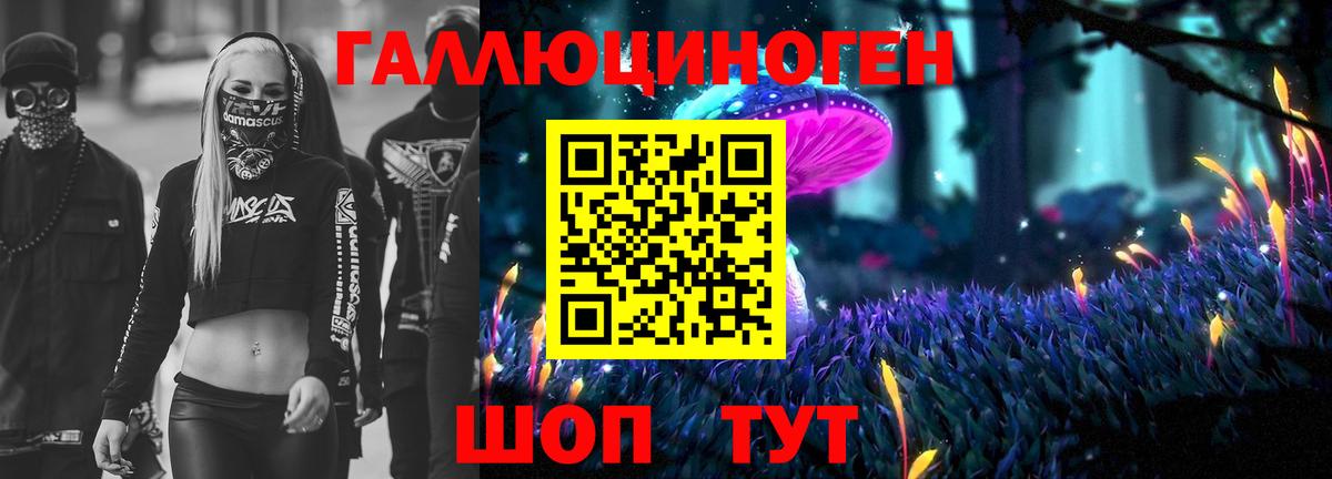 Ухта  Галлюциногенные грибы Psilocybine cubensis  Вход с VPN 